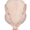 fresh whole chicken producer