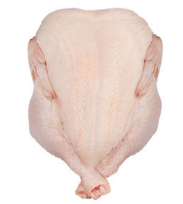 fresh whole chicken producer